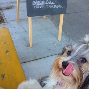 Meet your Posher, Alexia